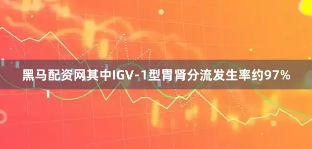 黑马配资网其中IGV-1型胃肾分流发生率约97%