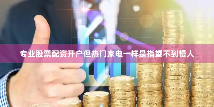 专业股票配资开户但热门家电一样是指望不到慢人